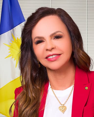 Professora Dorinha Seabra